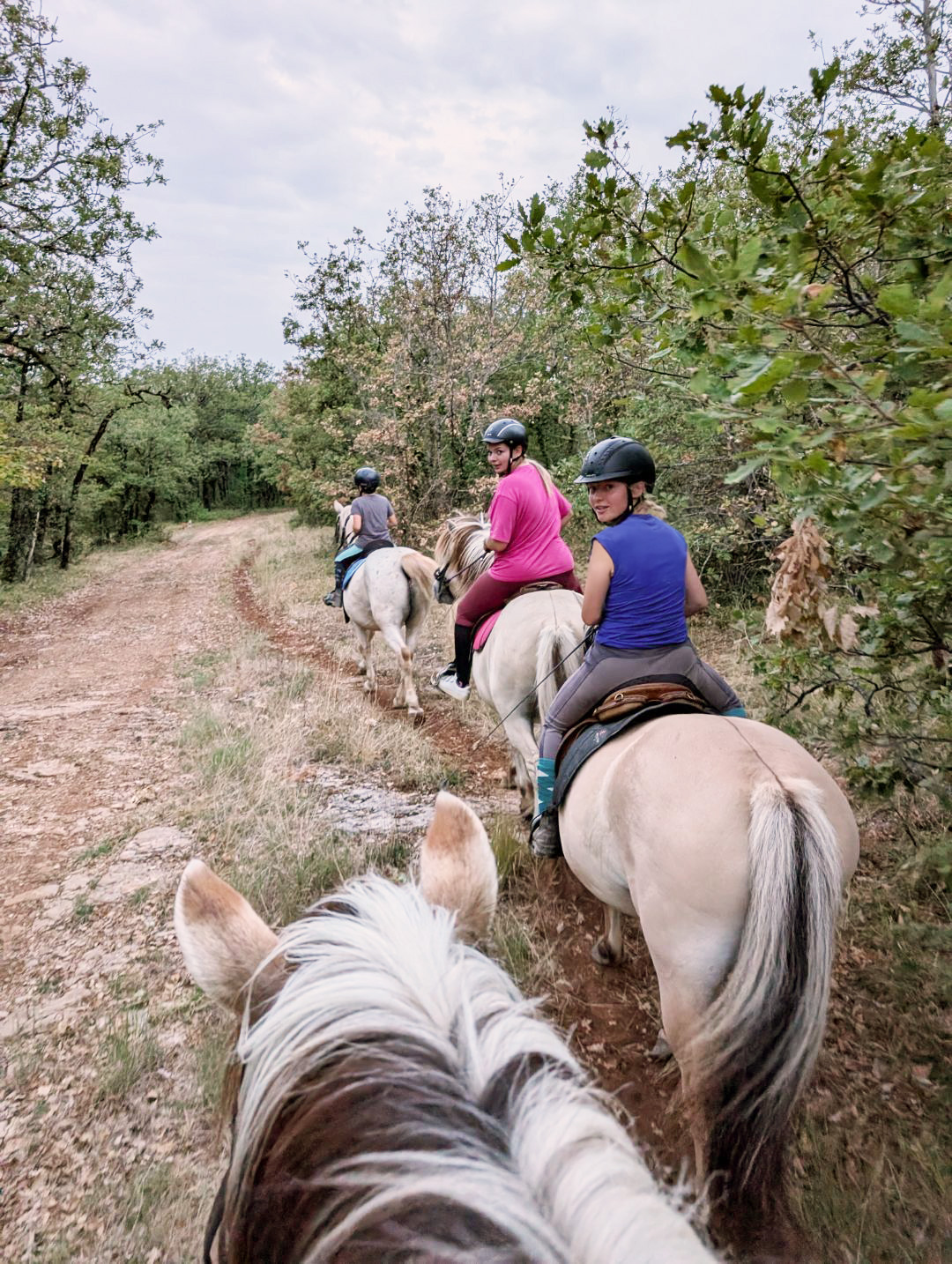 Groupe de cavaliers en file sur un sentier bordé de végétation, vu depuis le dos d’un cheval Fjord