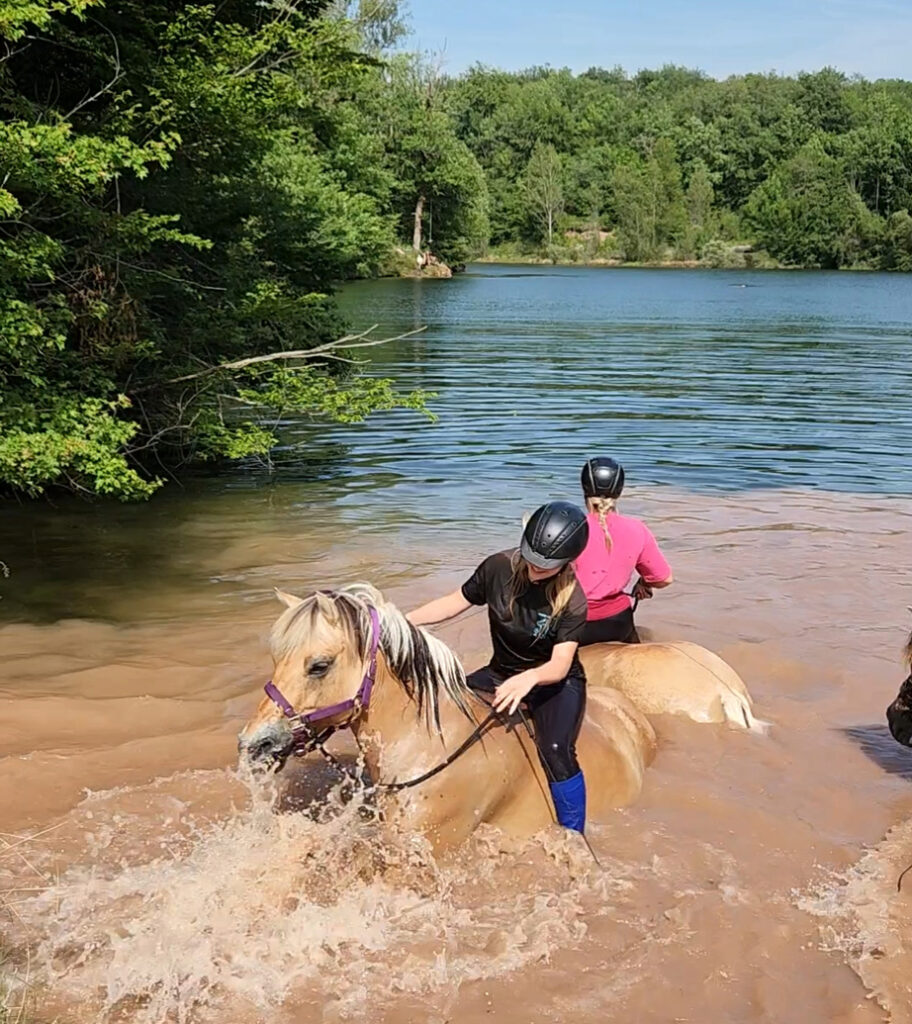 Deux cavalières faisant traverser la rivière à leurs chevaux Fjord