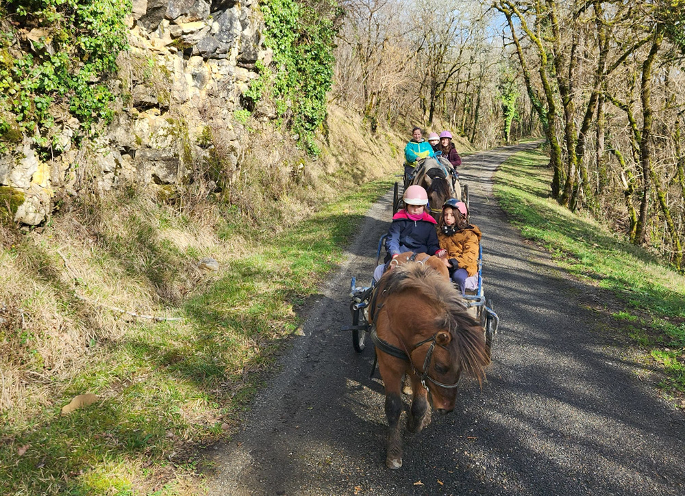Randos-Fjords---Marion-Bartheye---Balade-à-cheval-12