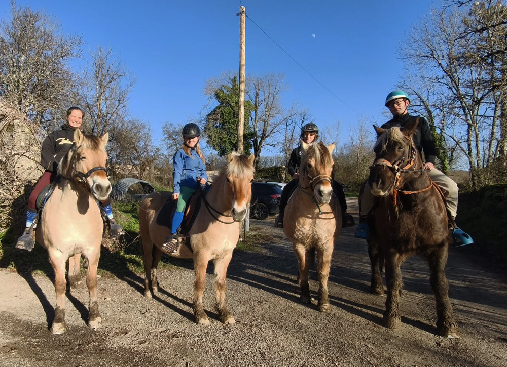 Randos-Fjords---Marion-Bartheye---Balade-à-cheval-6