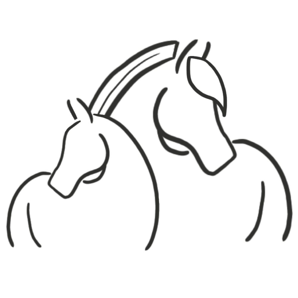 Illustration : deux têtes de chevaux
