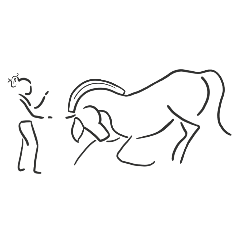 Illustration : travail à pied avec un cheval