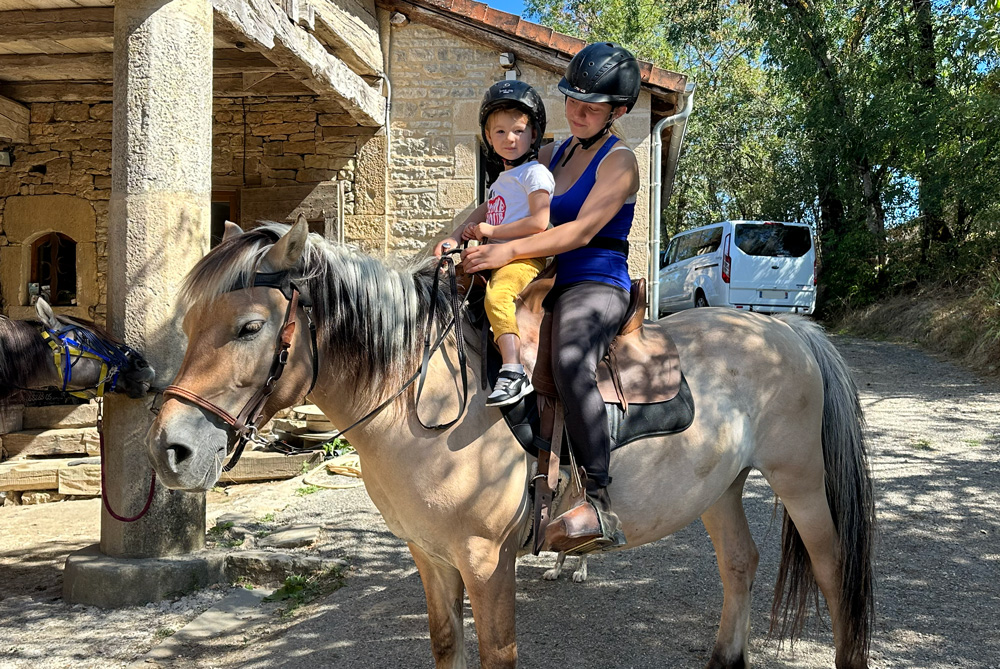 Selle biplace posée sur le dos d’un cheval Fjord